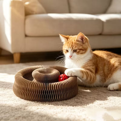 Babs&Bo KittyCurls – Interactief Kattenspeeltje voor Mentale en Fysieke Stimulatie