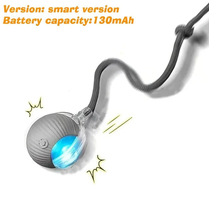SpeelMaatje – Intelligente Interactieve Speelbal