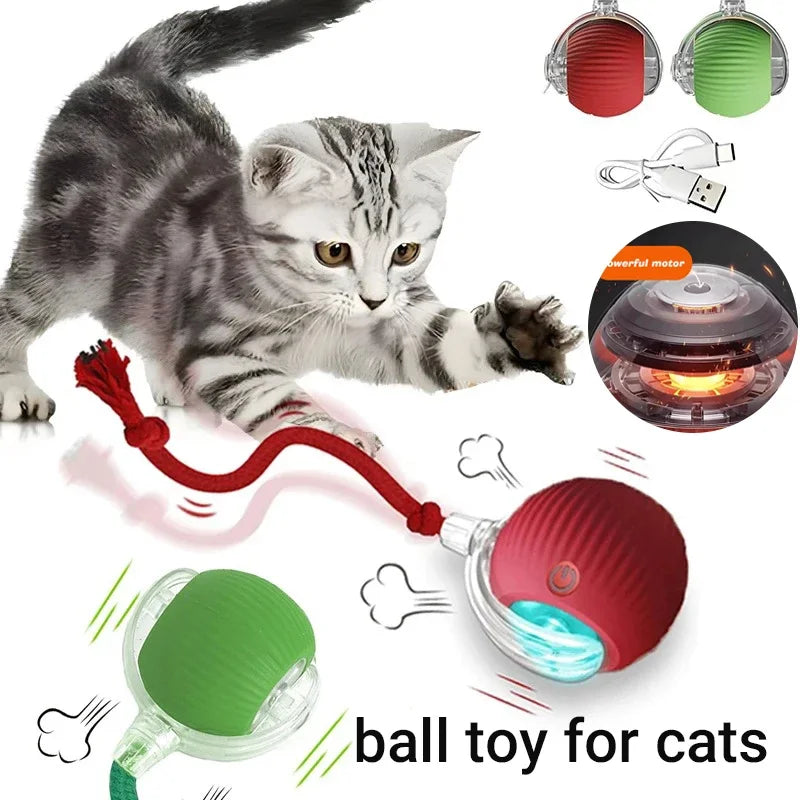 SpeelMaatje – Intelligente Interactieve Speelbal