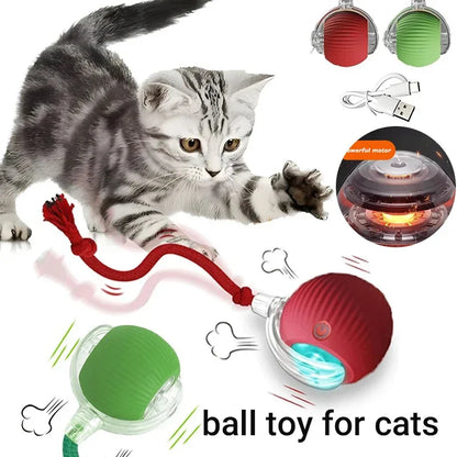SpeelMaatje – Intelligente Interactieve Speelbal