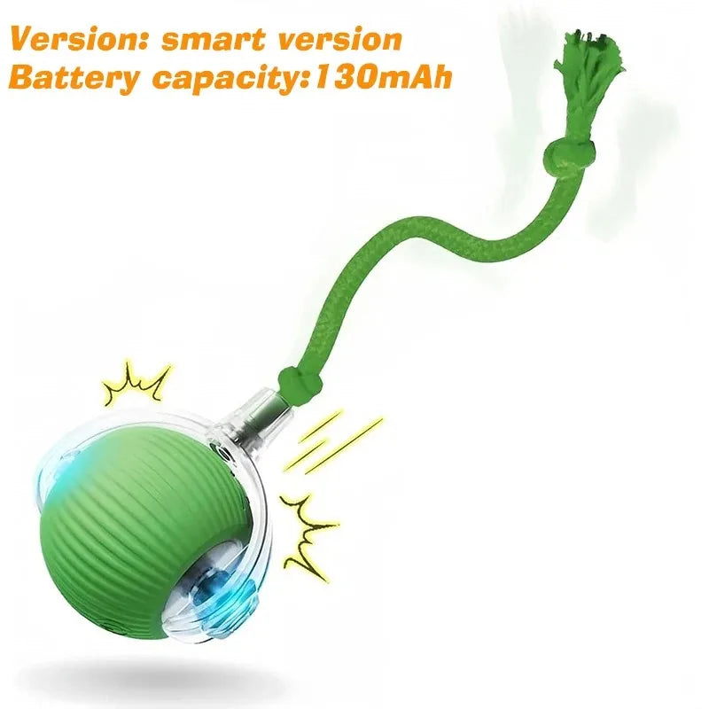SpeelMaatje – Intelligente Interactieve Speelbal
