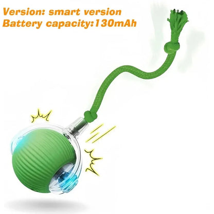 SpeelMaatje – Intelligente Interactieve Speelbal