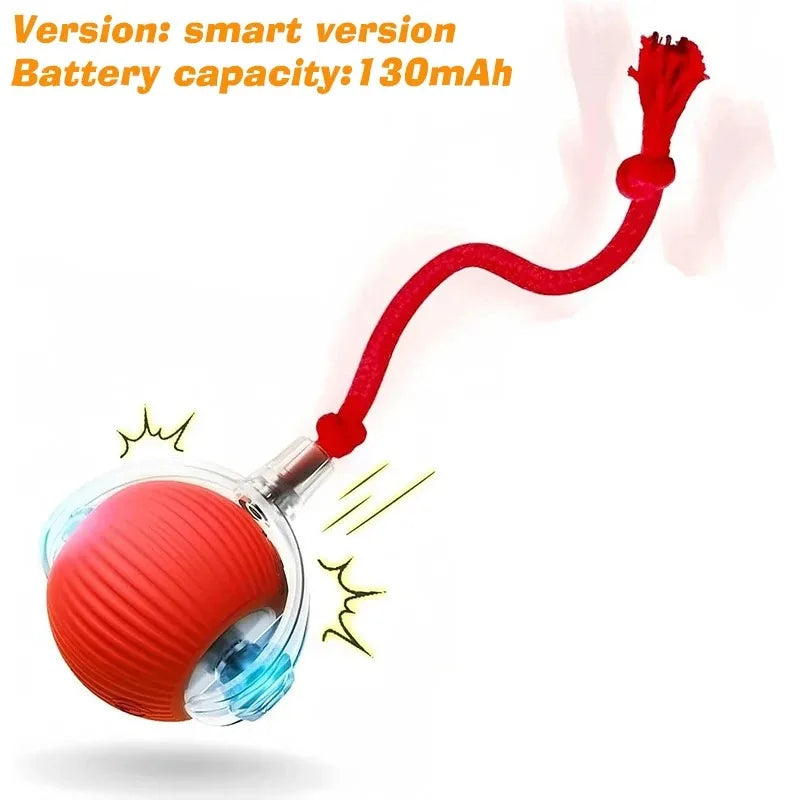 SpeelMaatje – Intelligente Interactieve Speelbal
