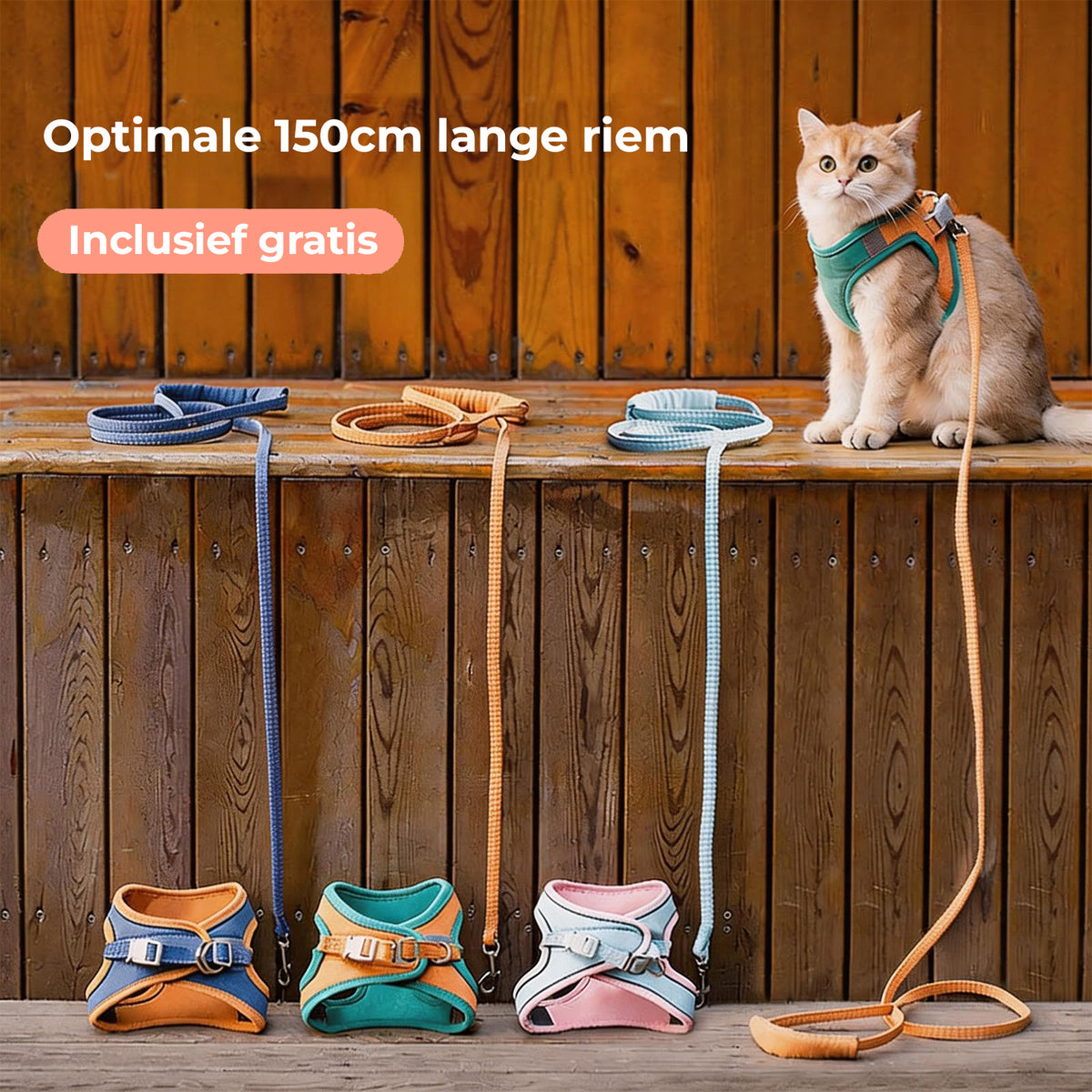 SafeWalk™ Katten -en hondentuigje + GRATIS Riem