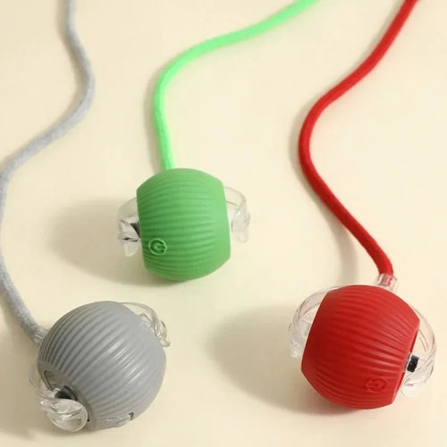 SpeelMaatje – Intelligente Interactieve Speelbal