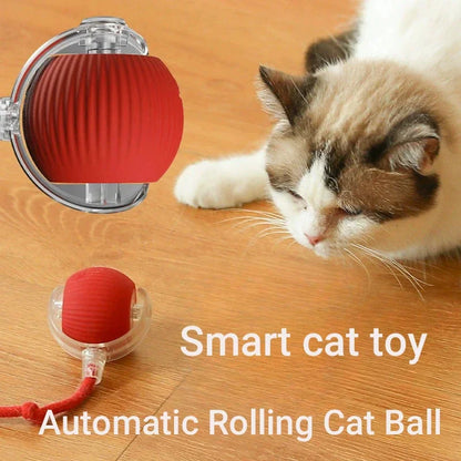 SpeelMaatje – Intelligente Interactieve Speelbal
