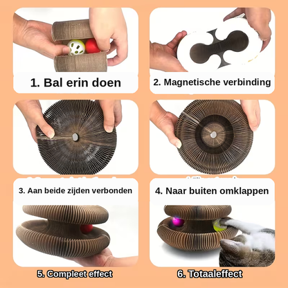 Babs&Bo KittyCurls – Interactief Kattenspeeltje voor Mentale en Fysieke Stimulatie