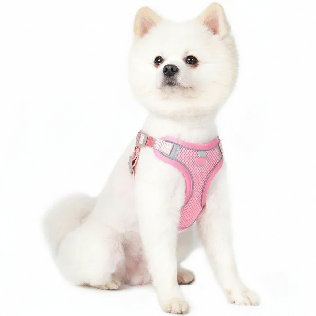 SafeWalk™ Reflecterend & Ademend Honden-, en kattenharnas