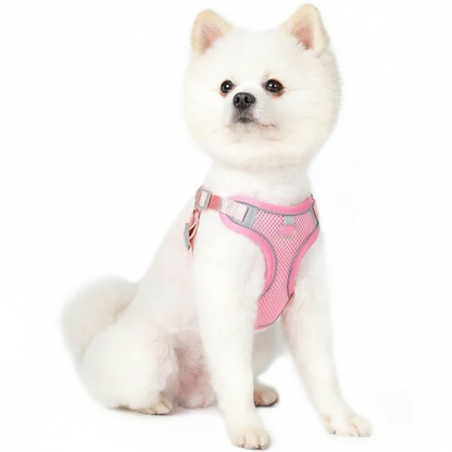 SafeWalk™ Reflecterend & Ademend Honden-, en kattenharnas