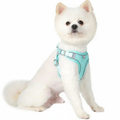 SafeWalk™ Reflecterend & Ademend Honden-, en kattenharnas