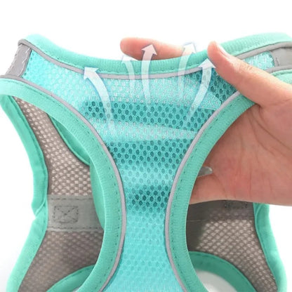 SafeWalk™ Reflecterend & Ademend Honden-, en kattenharnas