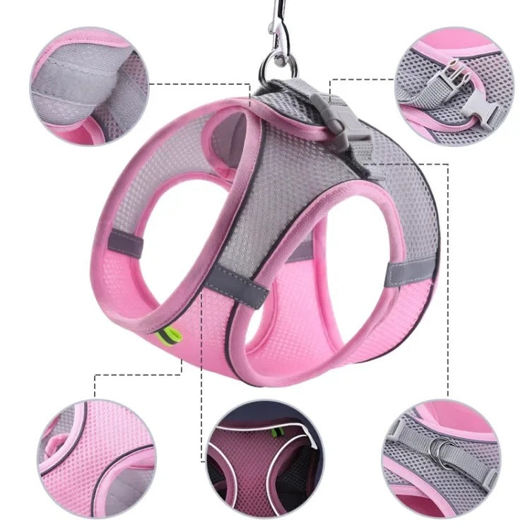 SafeWalk™ Reflecterend & Ademend Honden-, en kattenharnas