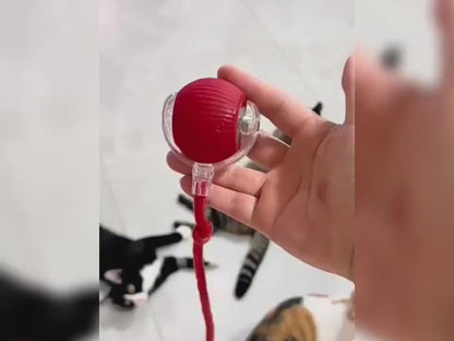SpeelMaatje – Interactieve Speelbal voor Hond & Kat