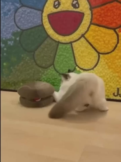 Babs&Bo KittyCurls – Interactief Kattenspeeltje voor Mentale en Fysieke Stimulatie